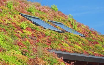 Corfton Bache living roof systems