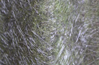 Corfton Bache fibreglass roof work