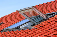 Corfton Bache roof window